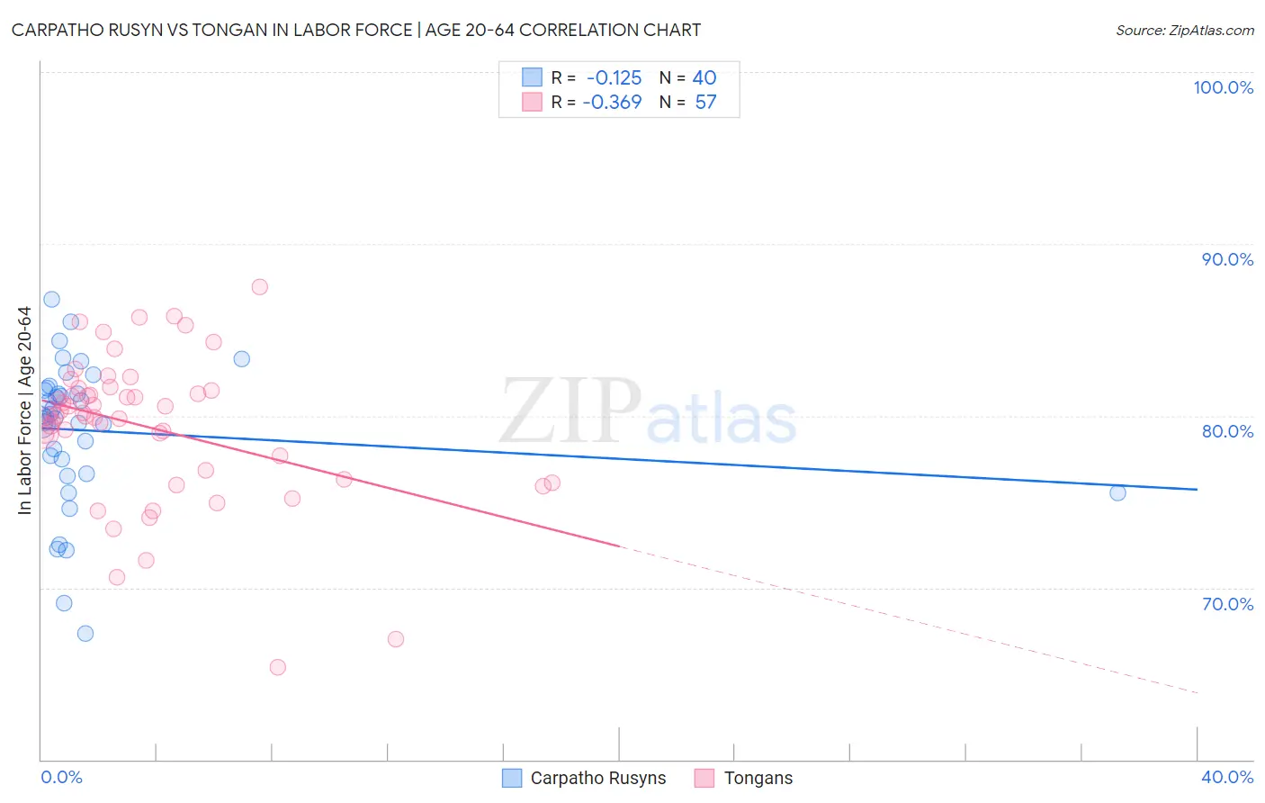 Carpatho Rusyn vs Tongan In Labor Force | Age 20-64