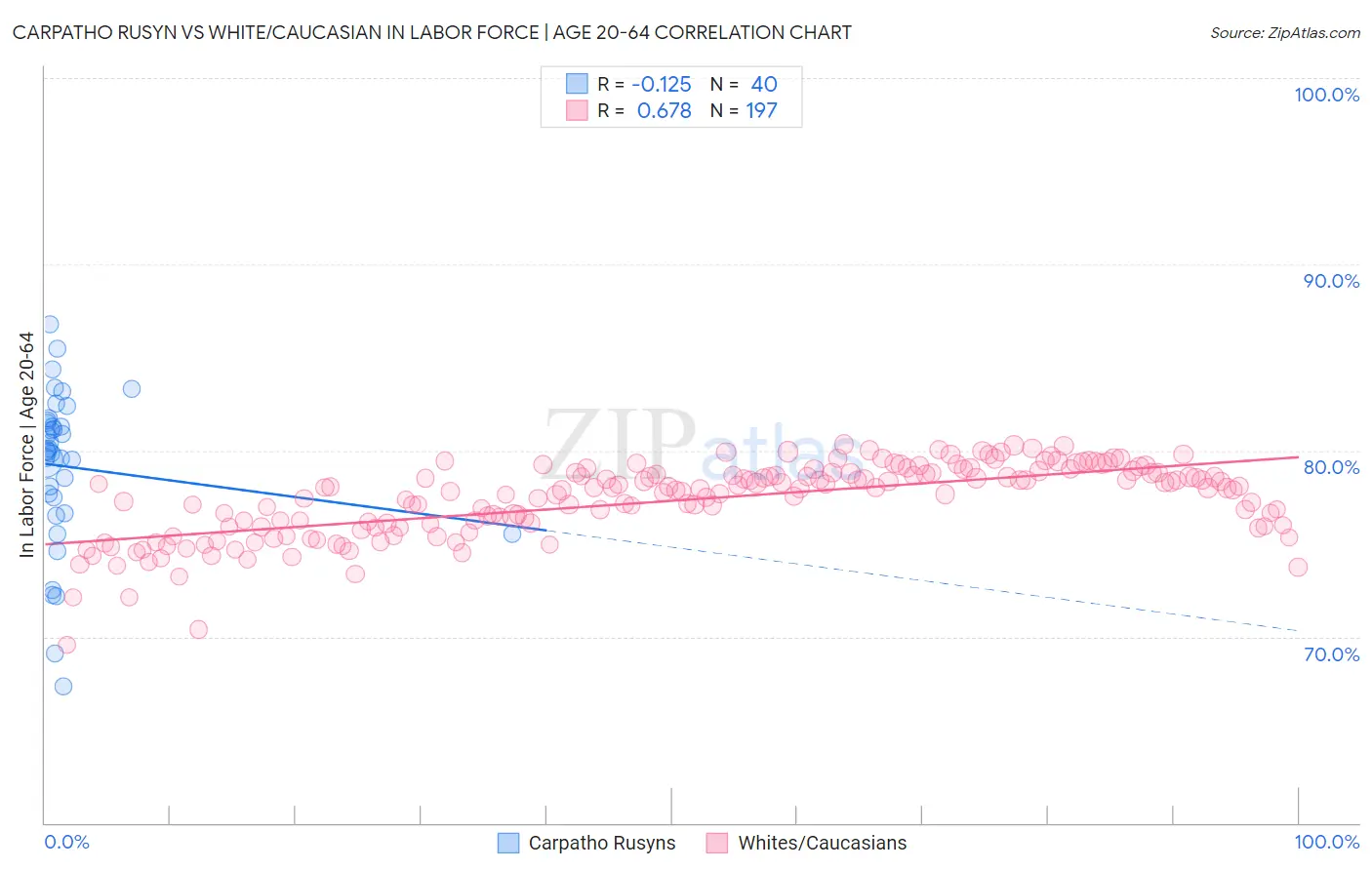 Carpatho Rusyn vs White/Caucasian In Labor Force | Age 20-64