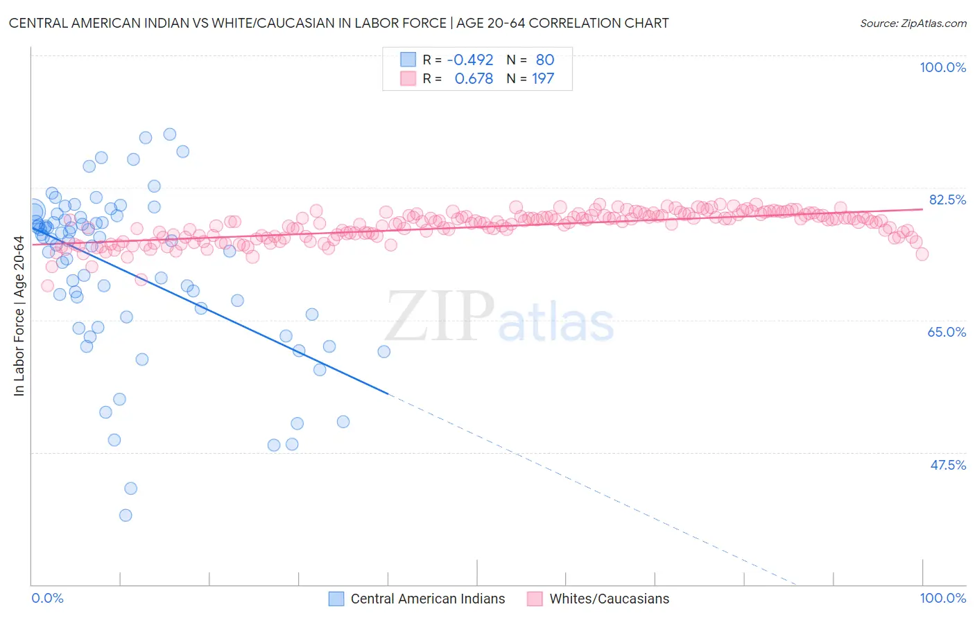 Central American Indian vs White/Caucasian In Labor Force | Age 20-64