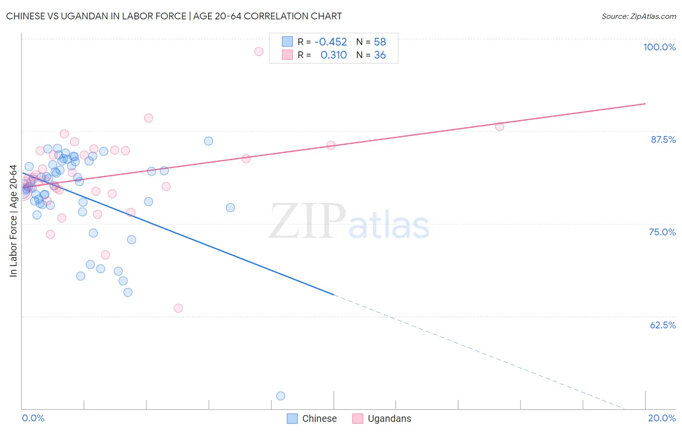 Chinese vs Ugandan In Labor Force | Age 20-64