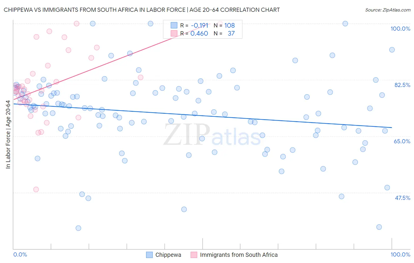 Chippewa vs Immigrants from South Africa In Labor Force | Age 20-64