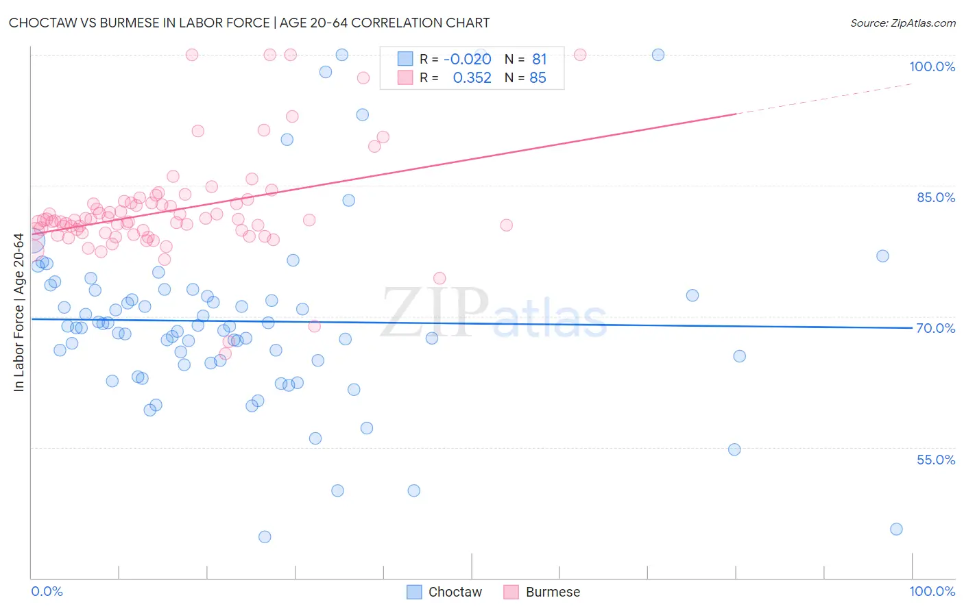 Choctaw vs Burmese In Labor Force | Age 20-64