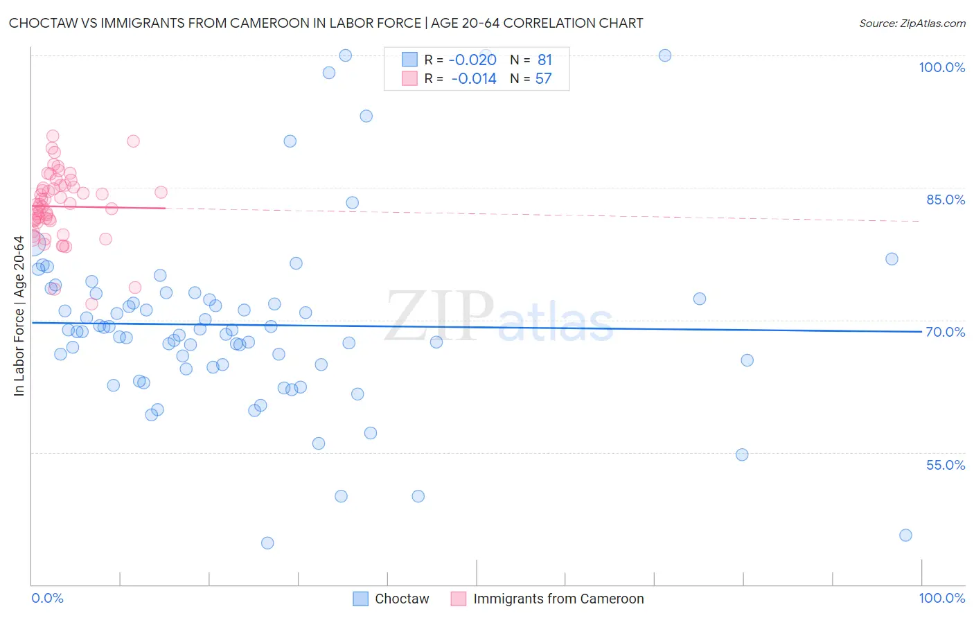 Choctaw vs Immigrants from Cameroon In Labor Force | Age 20-64