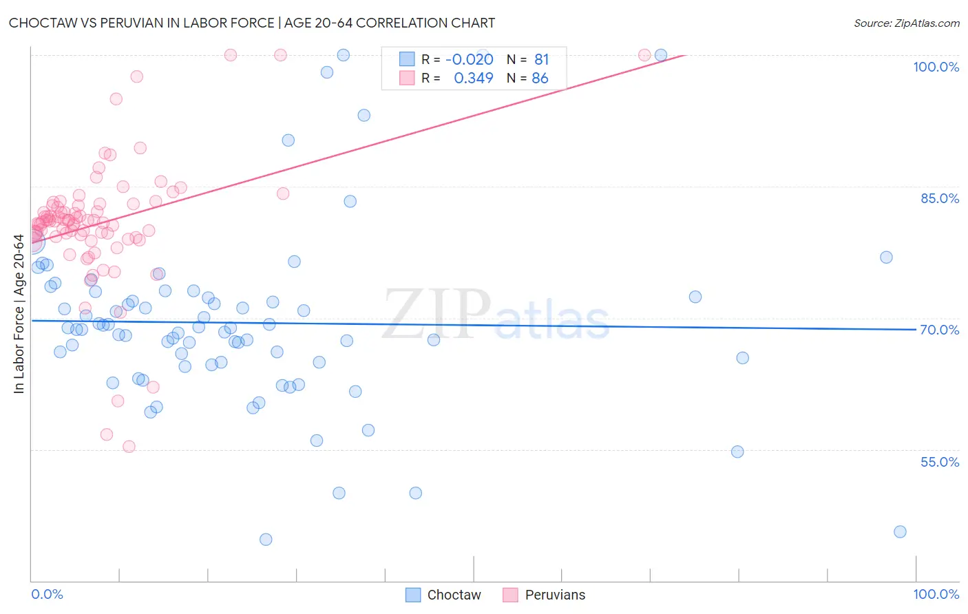 Choctaw vs Peruvian In Labor Force | Age 20-64