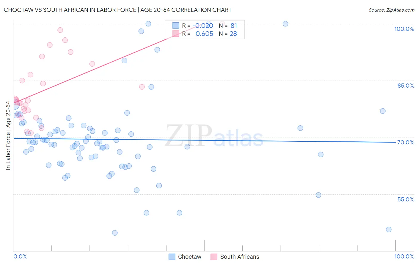 Choctaw vs South African In Labor Force | Age 20-64