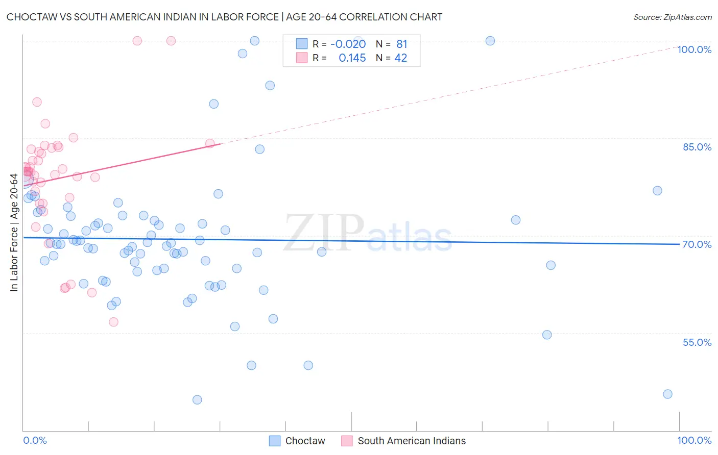 Choctaw vs South American Indian In Labor Force | Age 20-64