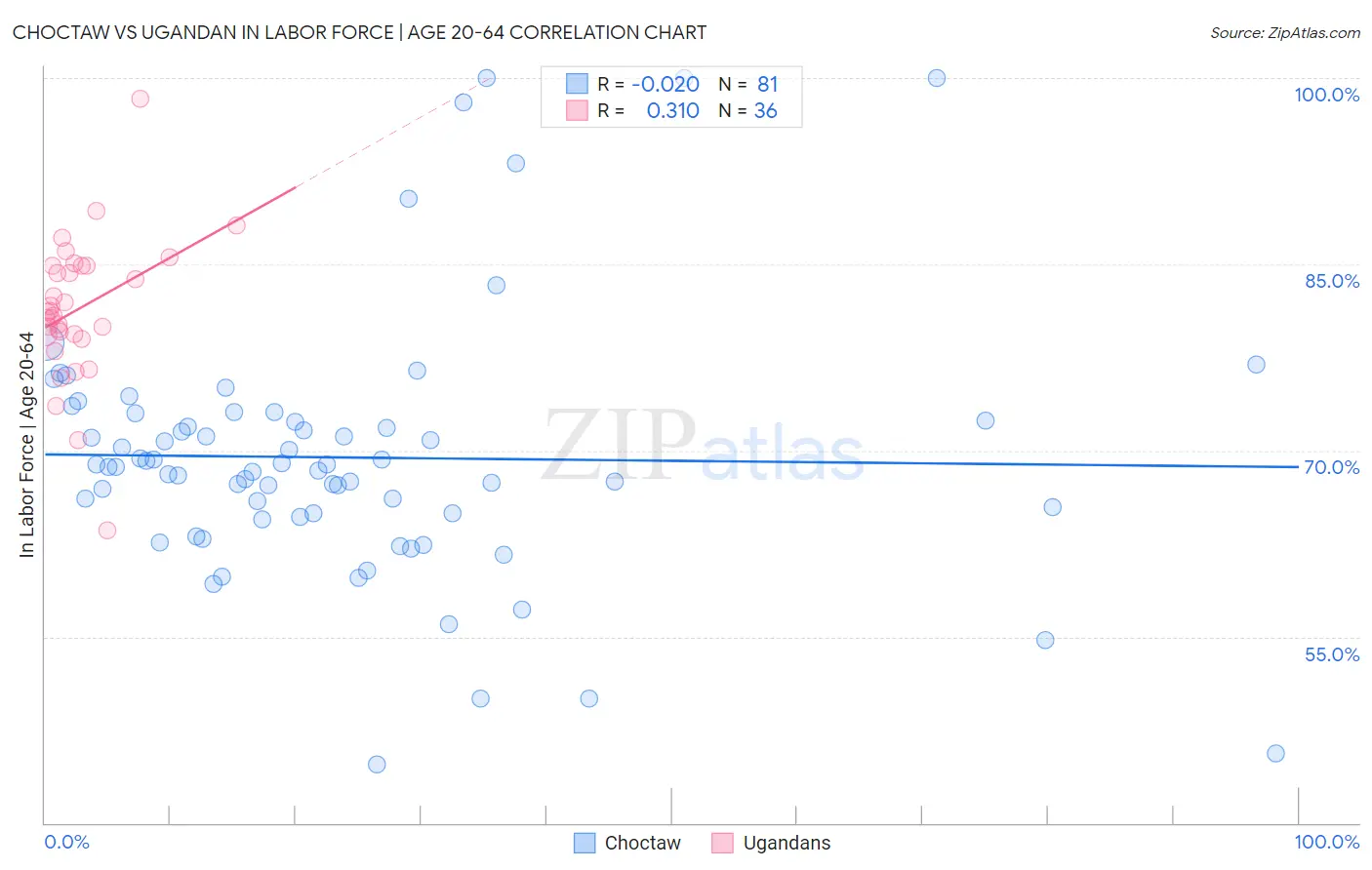 Choctaw vs Ugandan In Labor Force | Age 20-64