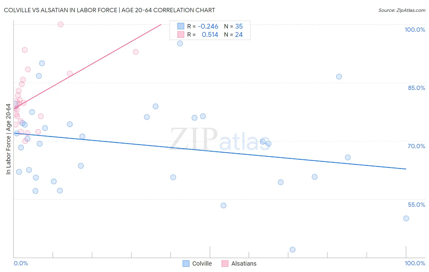 Colville vs Alsatian In Labor Force | Age 20-64