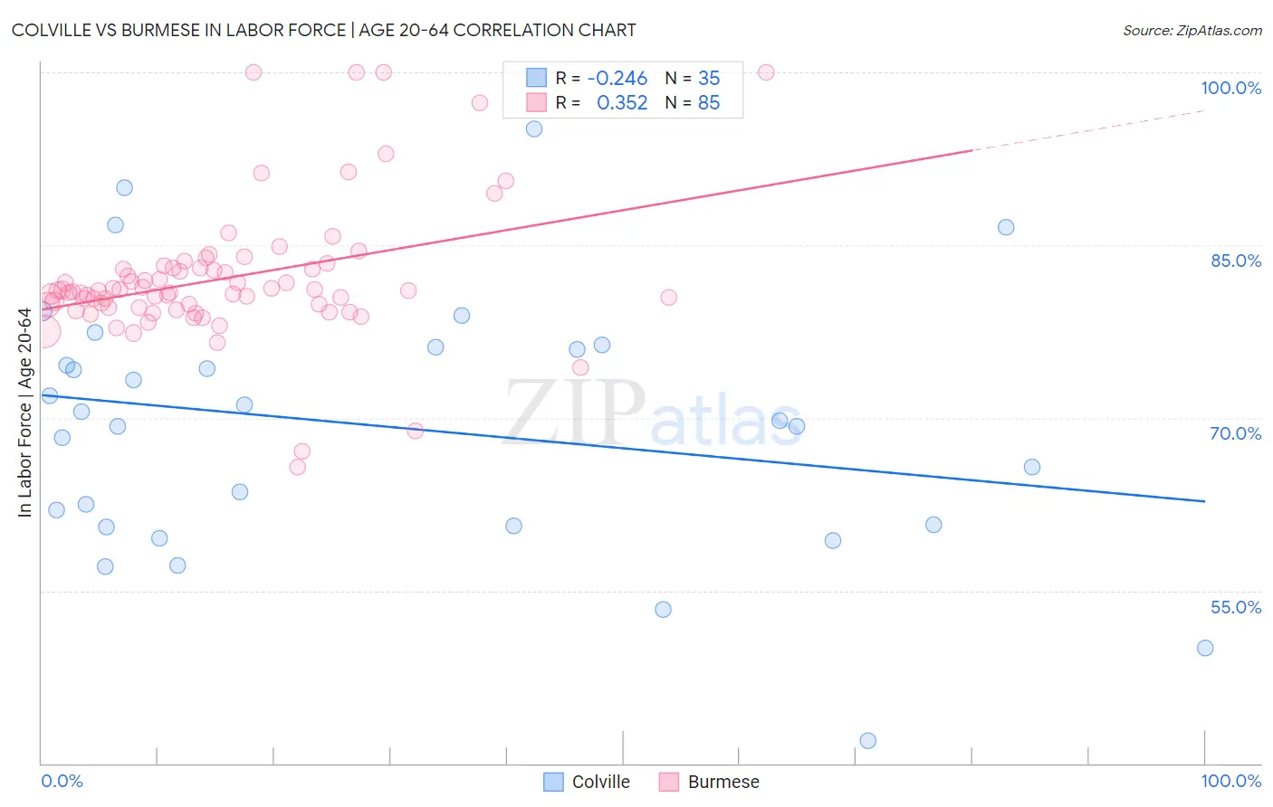 Colville vs Burmese In Labor Force | Age 20-64