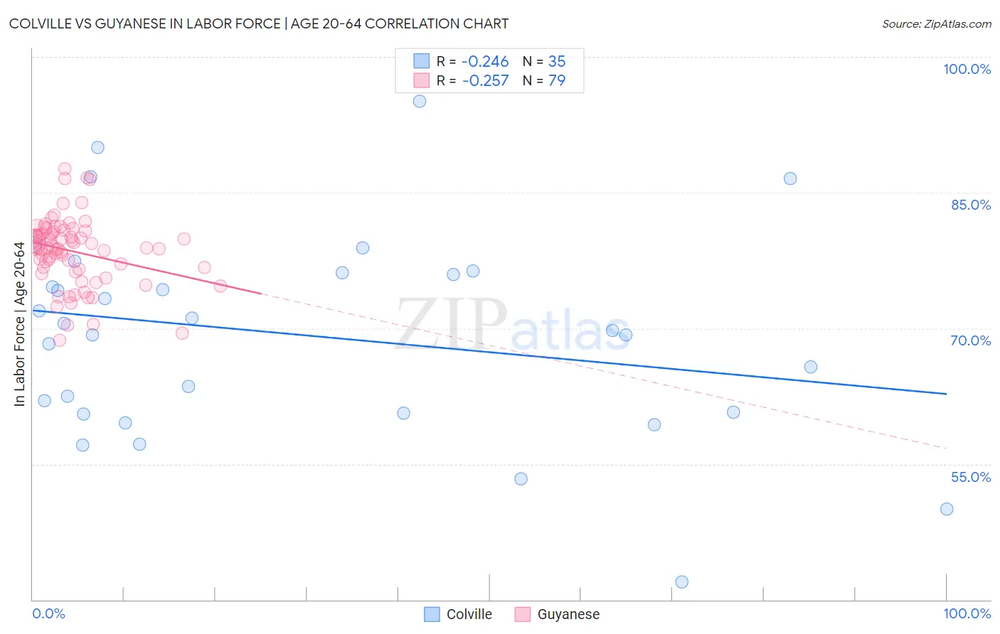 Colville vs Guyanese In Labor Force | Age 20-64