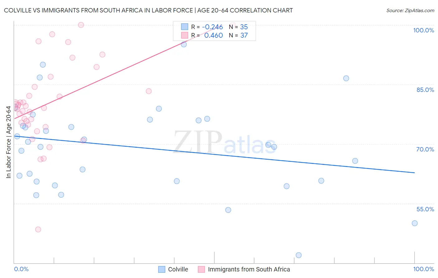 Colville vs Immigrants from South Africa In Labor Force | Age 20-64