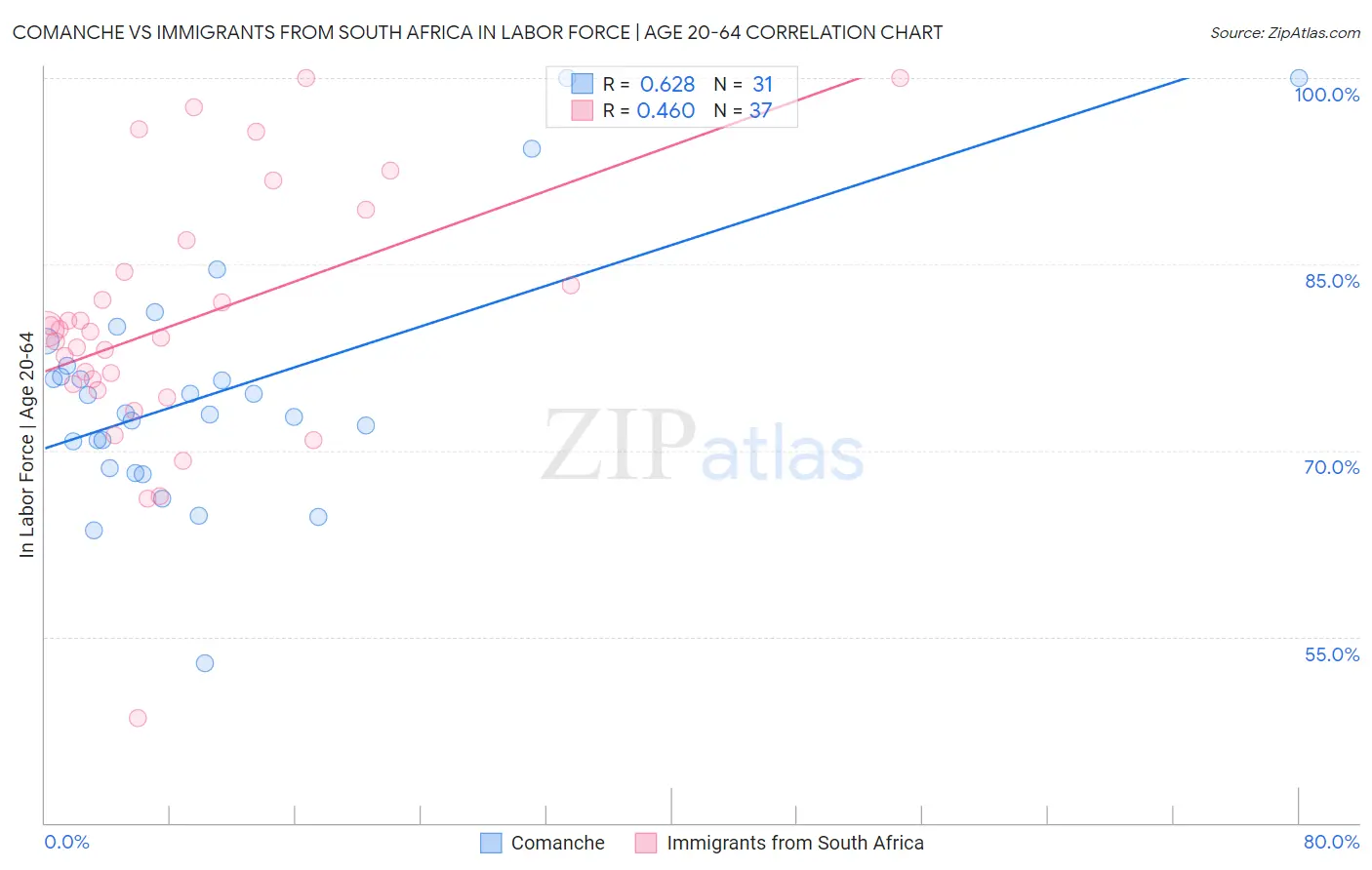 Comanche vs Immigrants from South Africa In Labor Force | Age 20-64