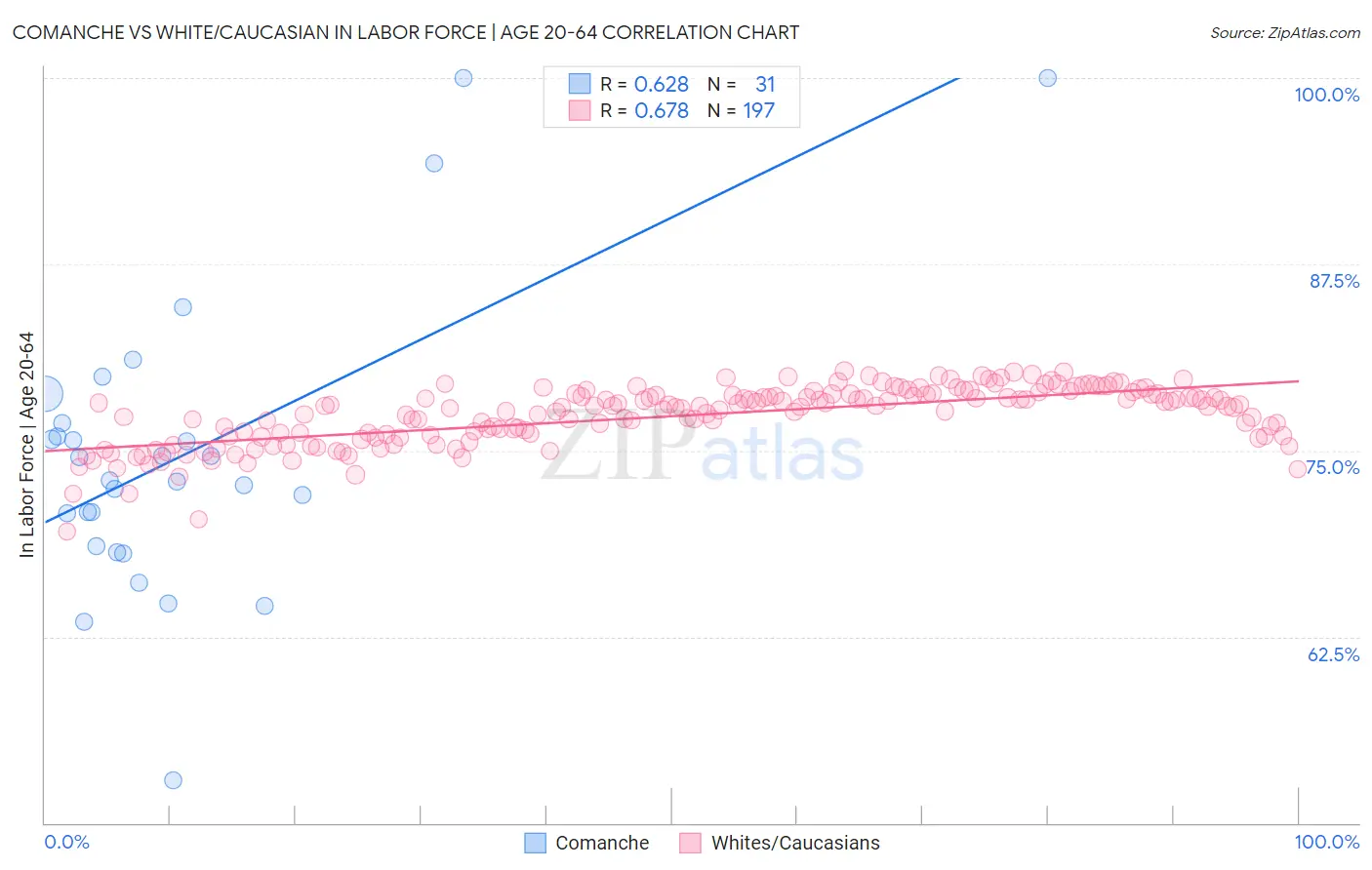 Comanche vs White/Caucasian In Labor Force | Age 20-64