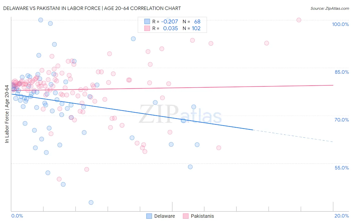 Delaware vs Pakistani In Labor Force | Age 20-64