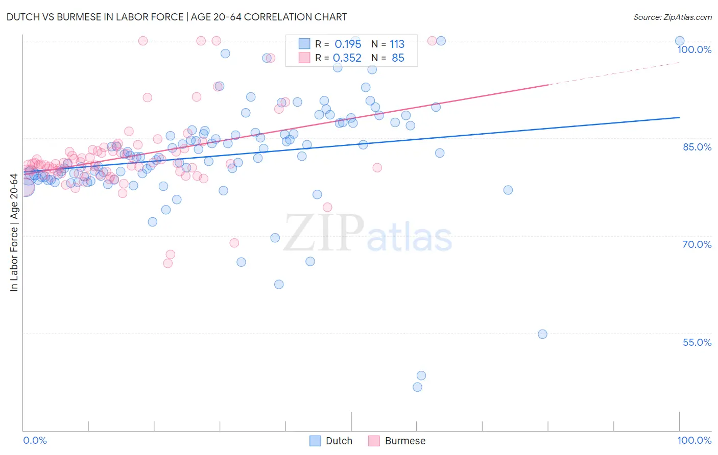 Dutch vs Burmese In Labor Force | Age 20-64