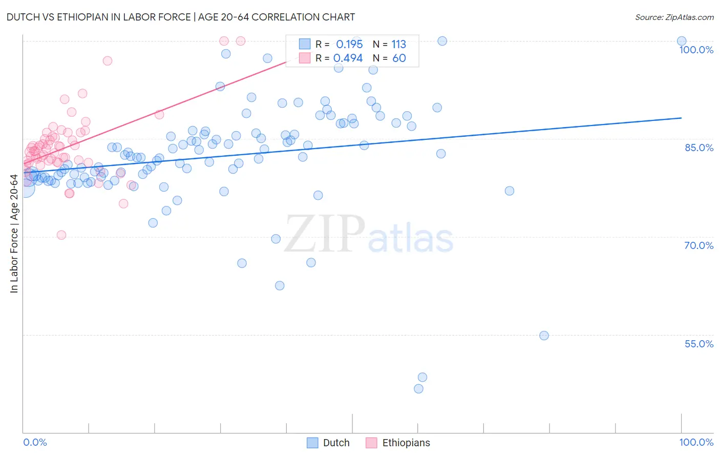 Dutch vs Ethiopian In Labor Force | Age 20-64