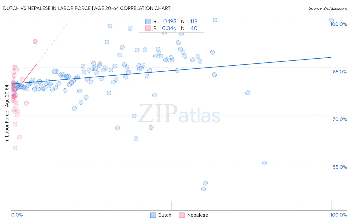 Dutch vs Nepalese In Labor Force | Age 20-64