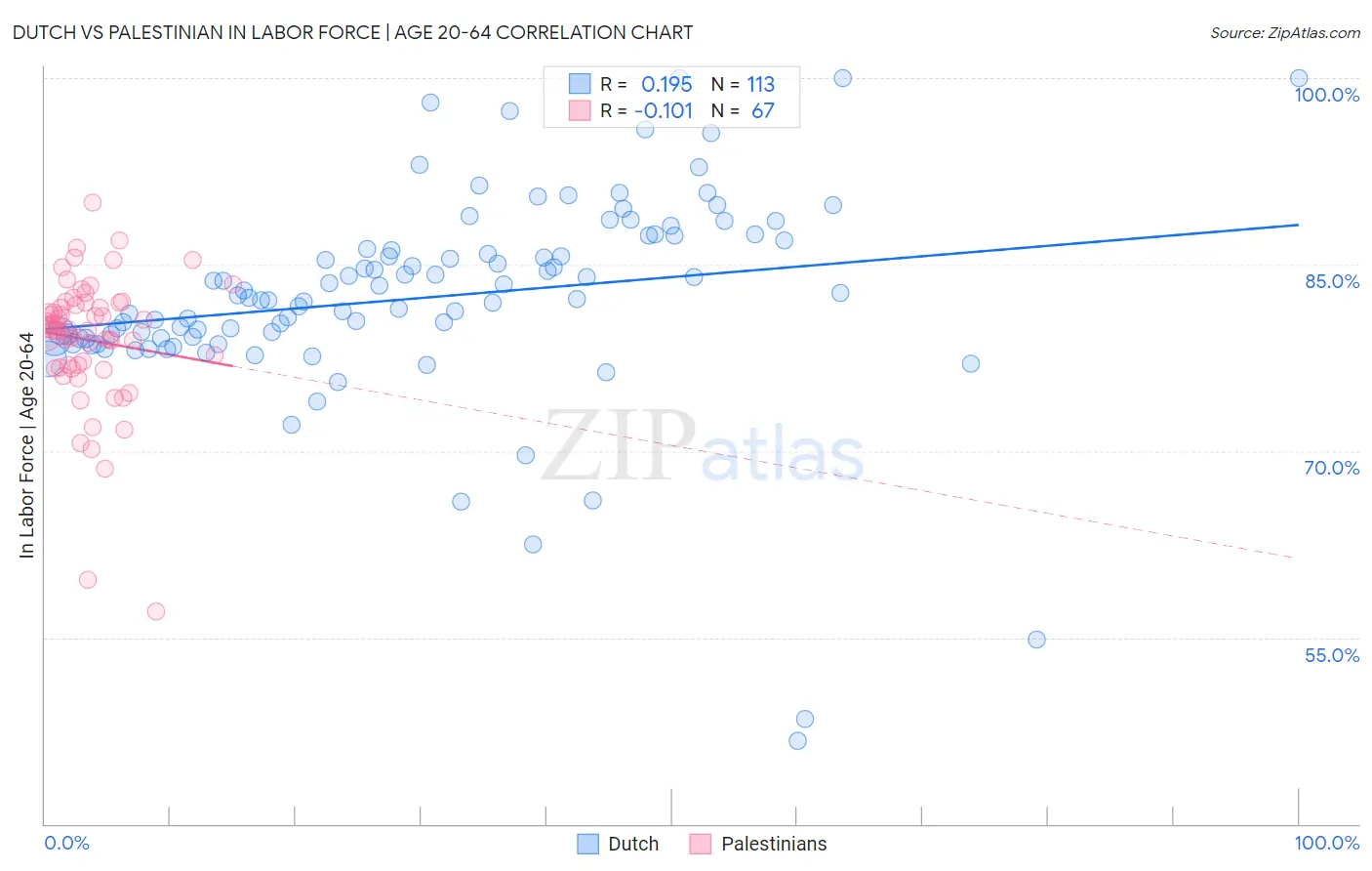 Dutch vs Palestinian In Labor Force | Age 20-64