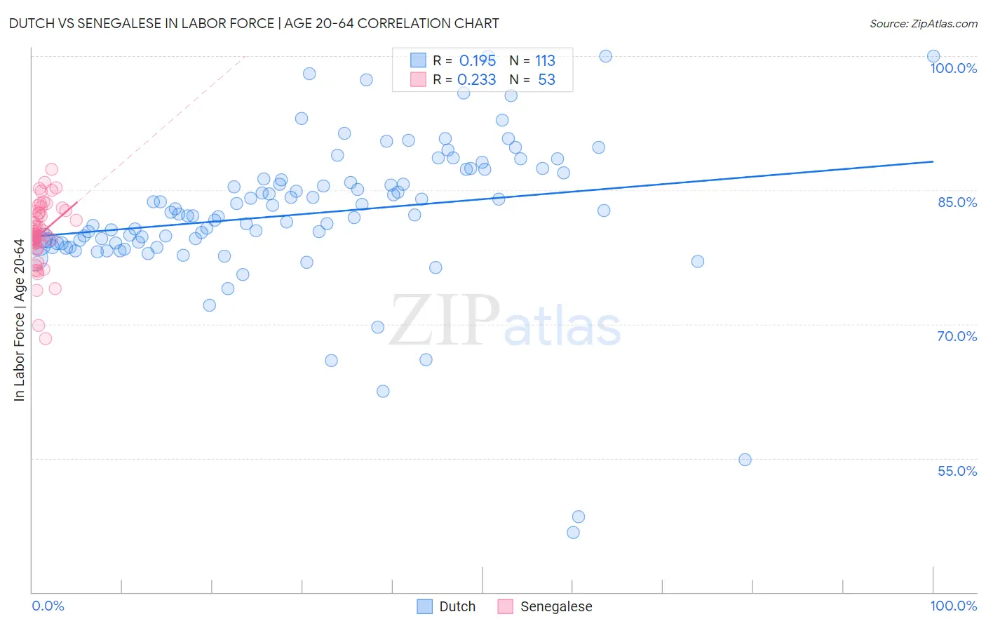 Dutch vs Senegalese In Labor Force | Age 20-64