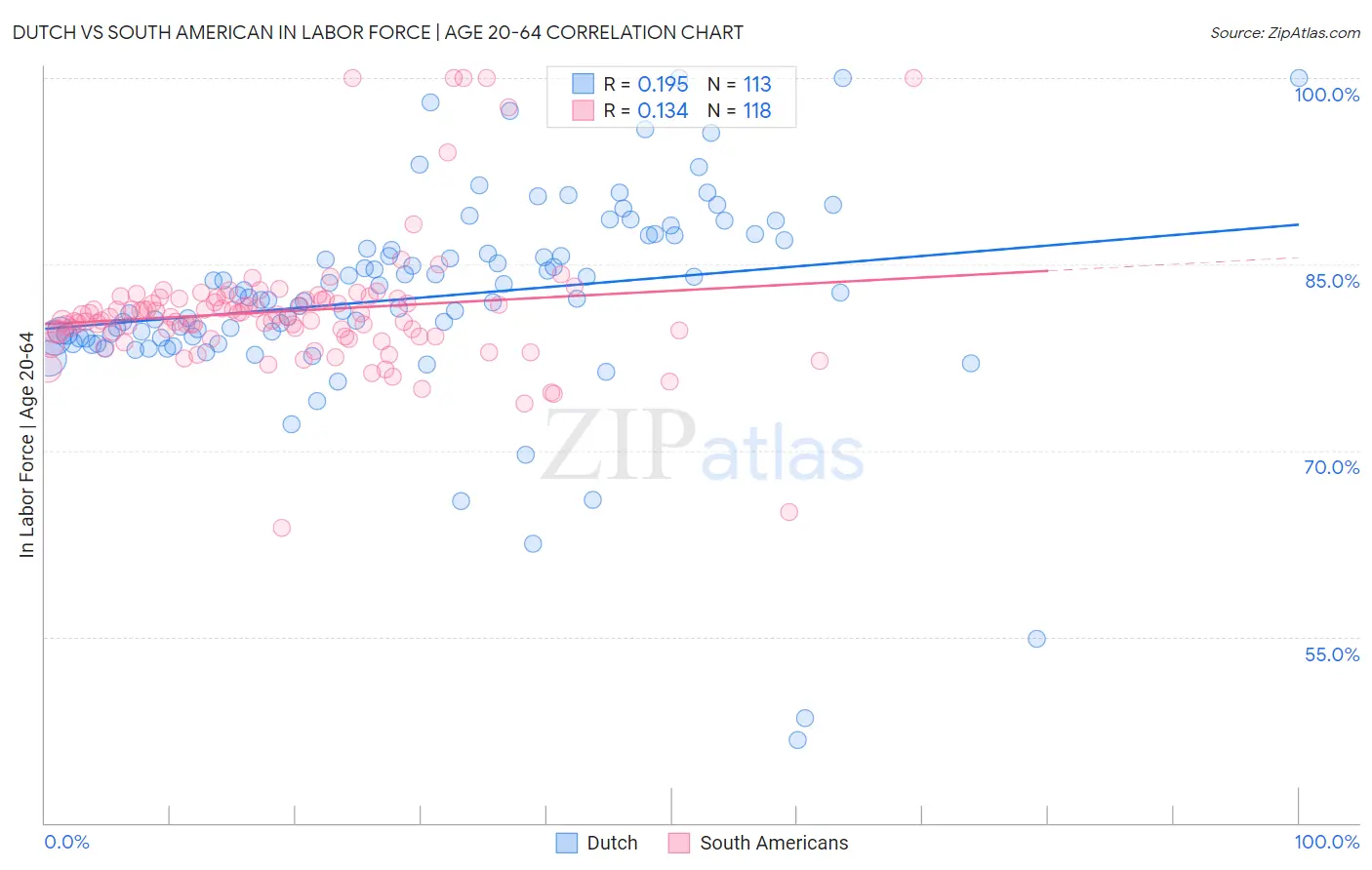 Dutch vs South American In Labor Force | Age 20-64