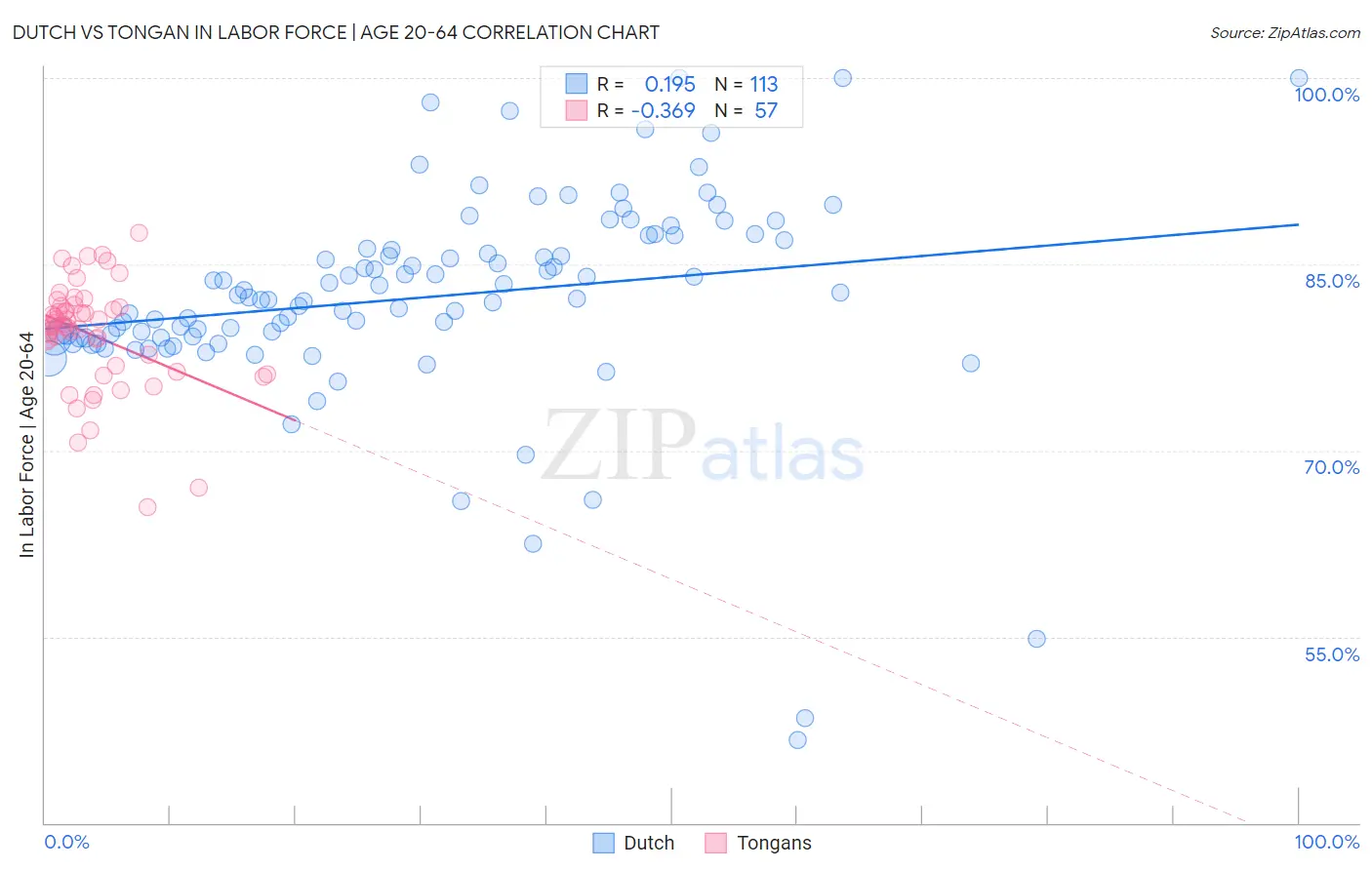 Dutch vs Tongan In Labor Force | Age 20-64