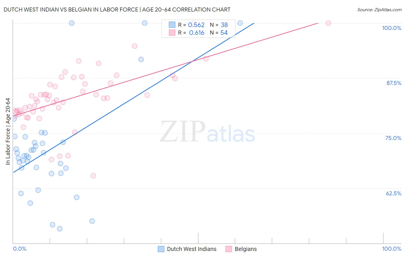 Dutch West Indian vs Belgian In Labor Force | Age 20-64