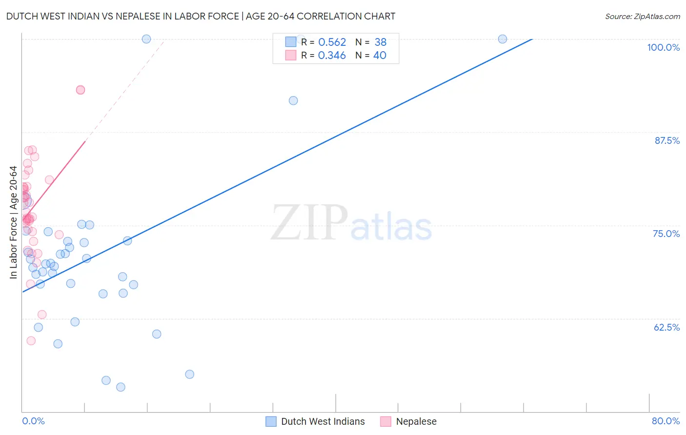 Dutch West Indian vs Nepalese In Labor Force | Age 20-64