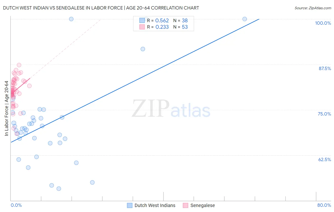 Dutch West Indian vs Senegalese In Labor Force | Age 20-64