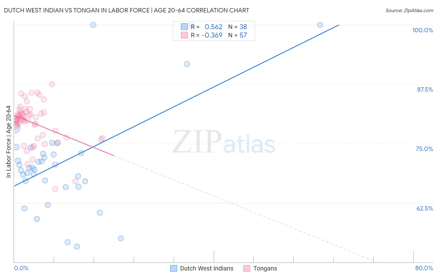 Dutch West Indian vs Tongan In Labor Force | Age 20-64