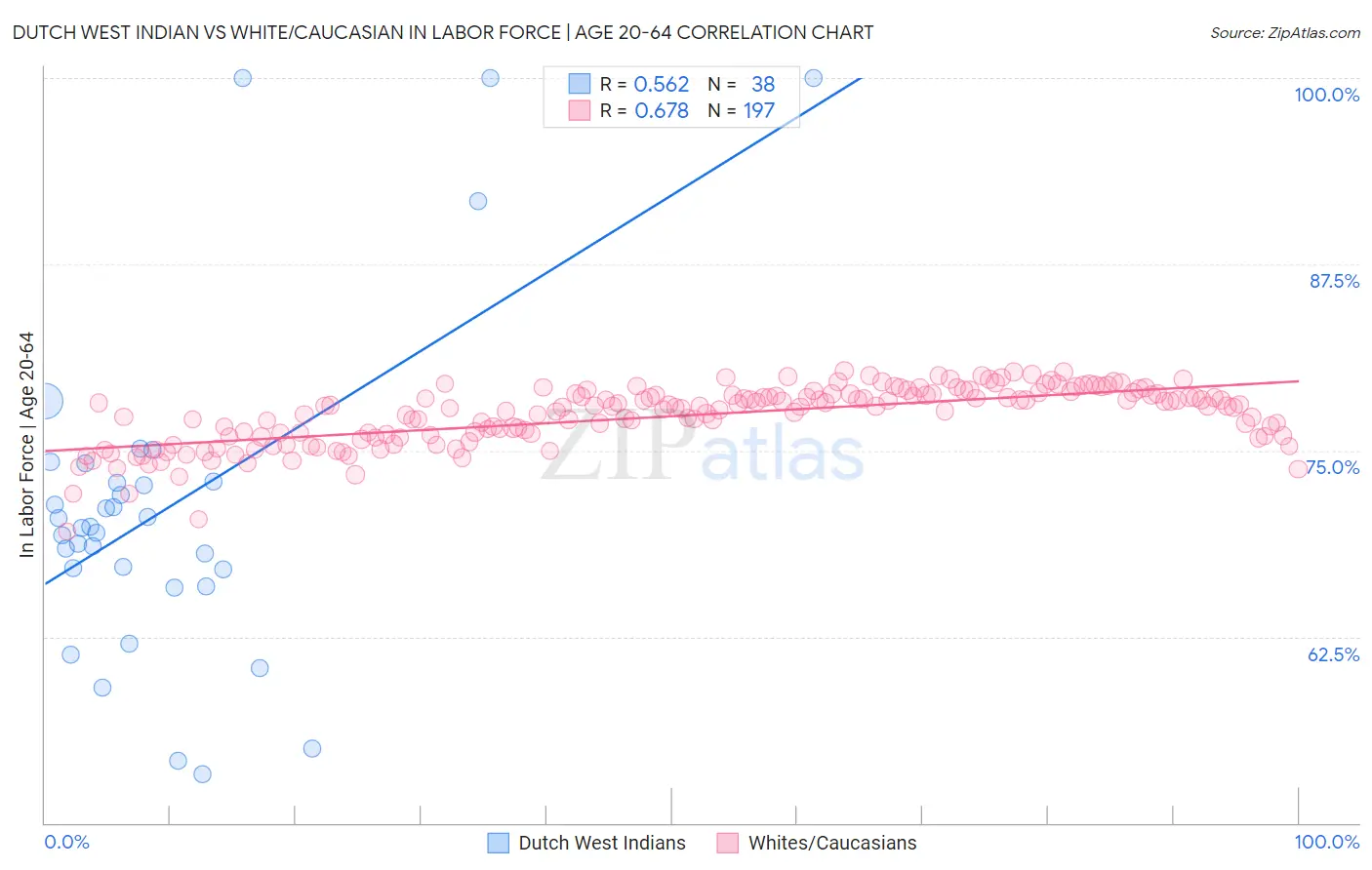 Dutch West Indian vs White/Caucasian In Labor Force | Age 20-64