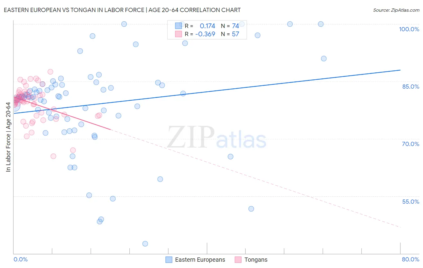 Eastern European vs Tongan In Labor Force | Age 20-64