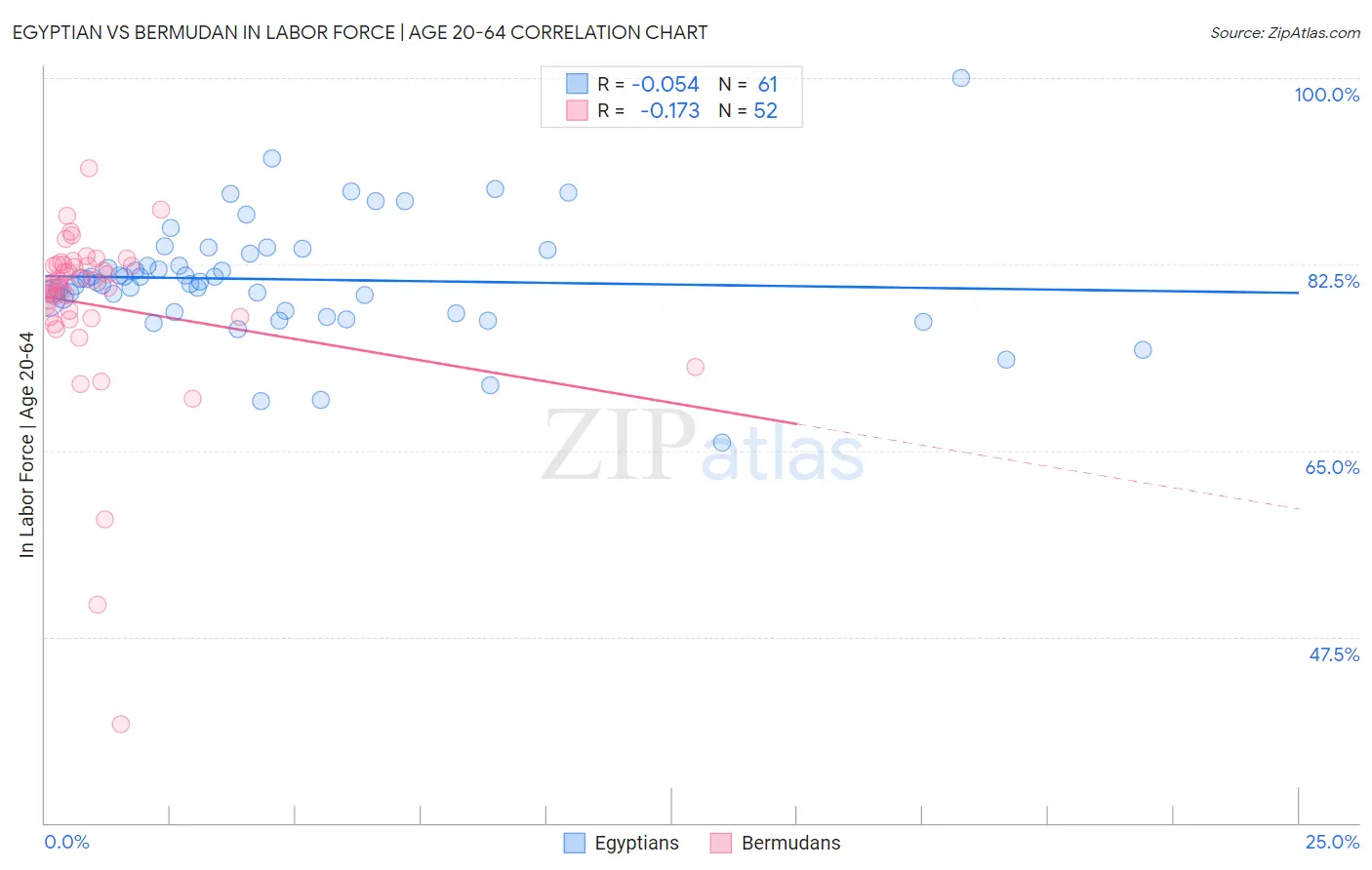 Egyptian vs Bermudan In Labor Force | Age 20-64