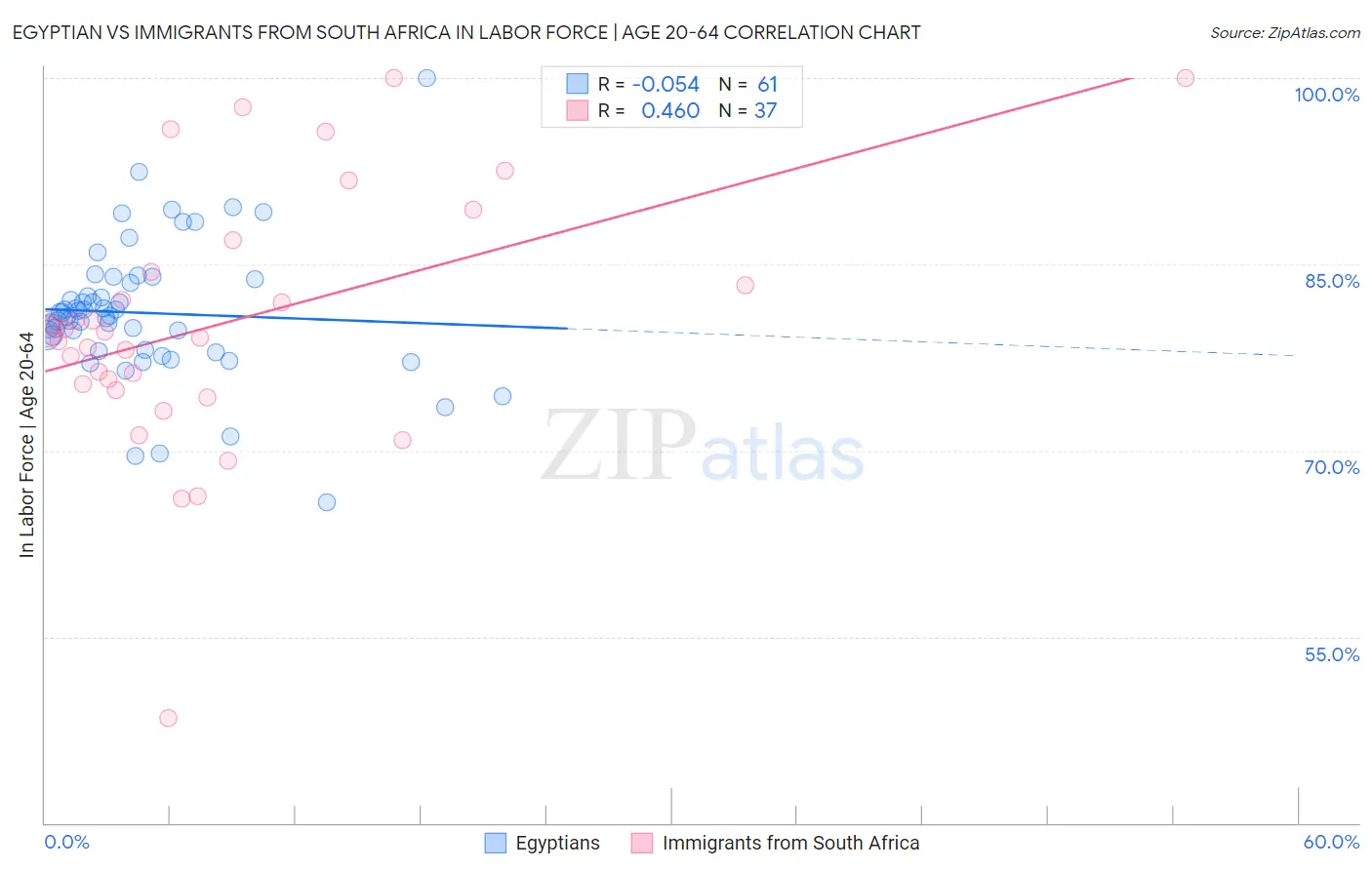 Egyptian vs Immigrants from South Africa In Labor Force | Age 20-64