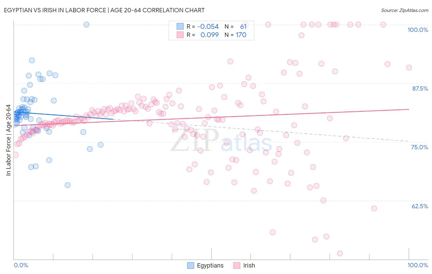 Egyptian vs Irish In Labor Force | Age 20-64