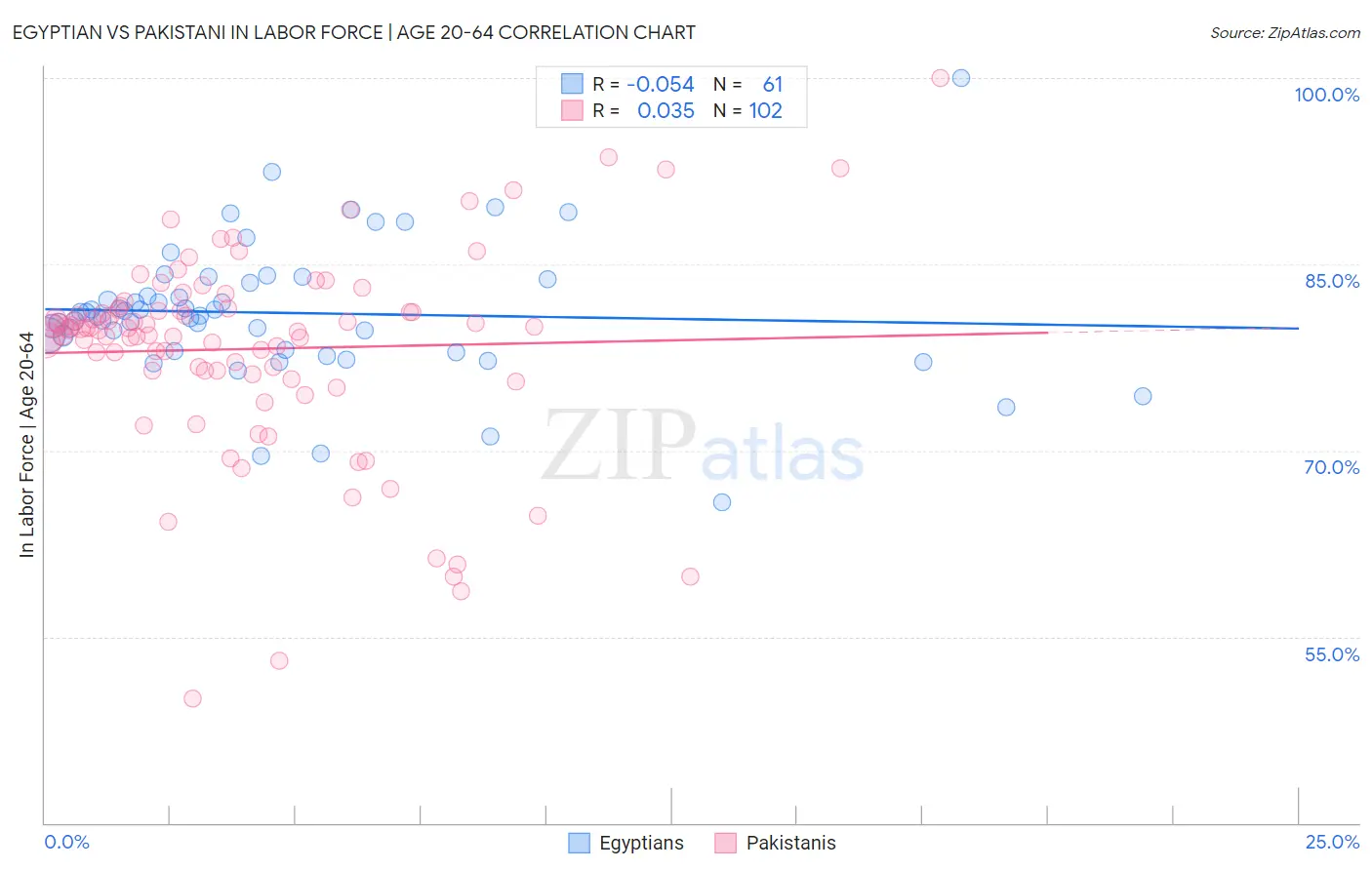 Egyptian vs Pakistani In Labor Force | Age 20-64