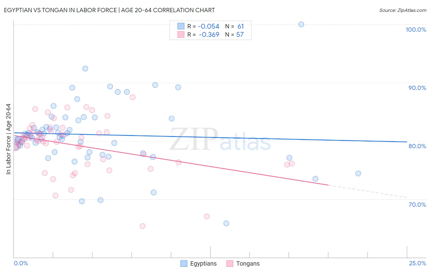 Egyptian vs Tongan In Labor Force | Age 20-64