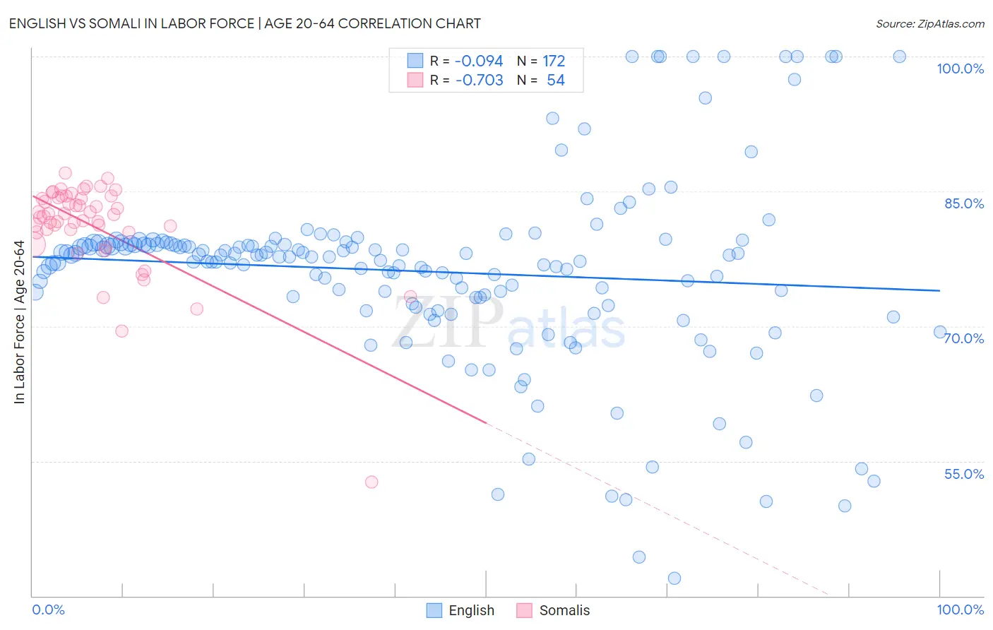 English vs Somali In Labor Force | Age 20-64