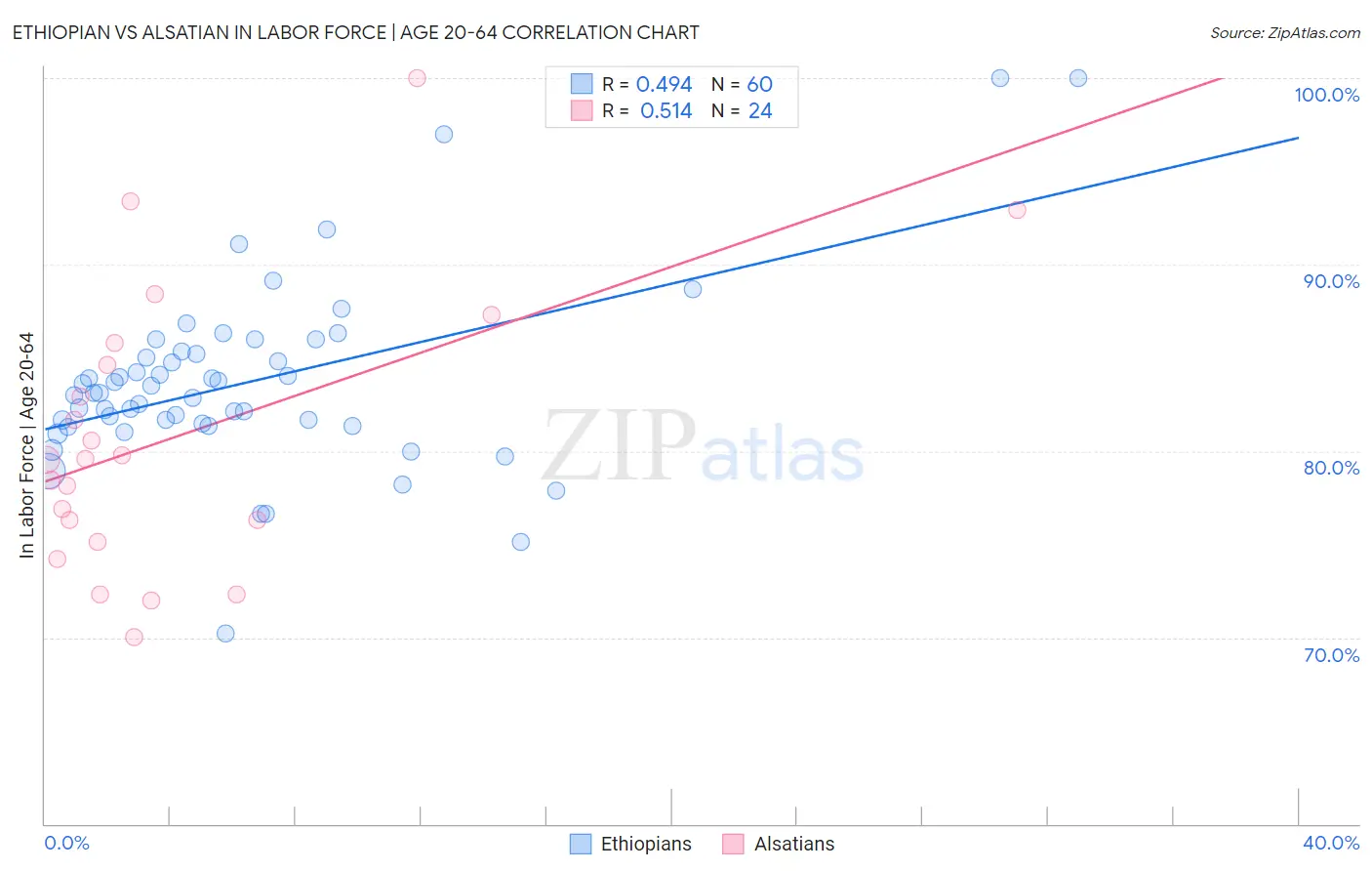 Ethiopian vs Alsatian In Labor Force | Age 20-64