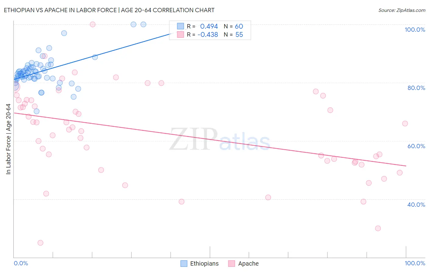 Ethiopian vs Apache In Labor Force | Age 20-64