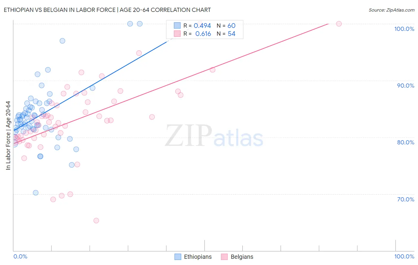 Ethiopian vs Belgian In Labor Force | Age 20-64