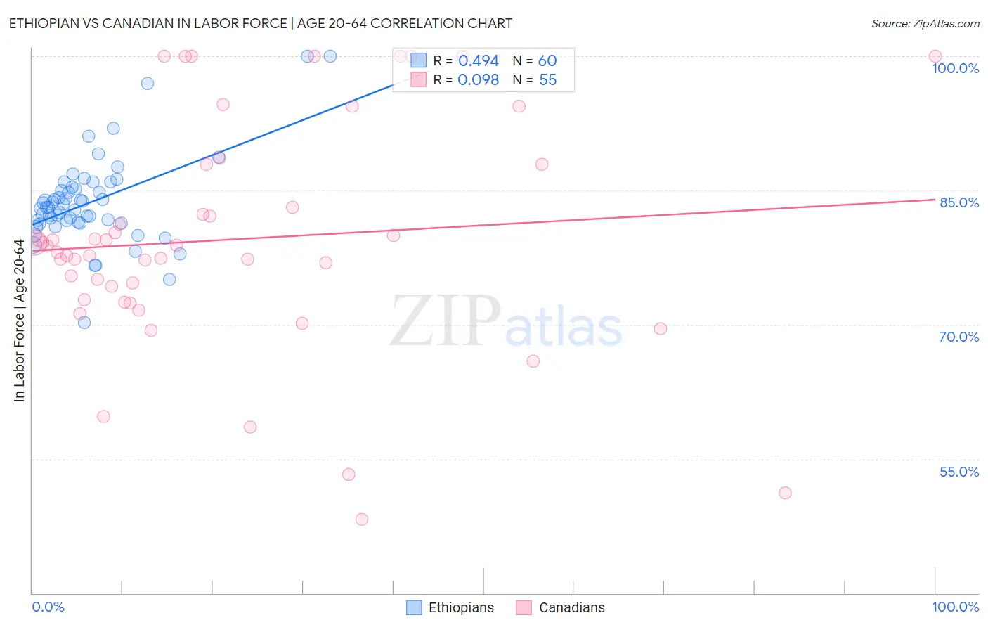 Ethiopian vs Canadian In Labor Force | Age 20-64