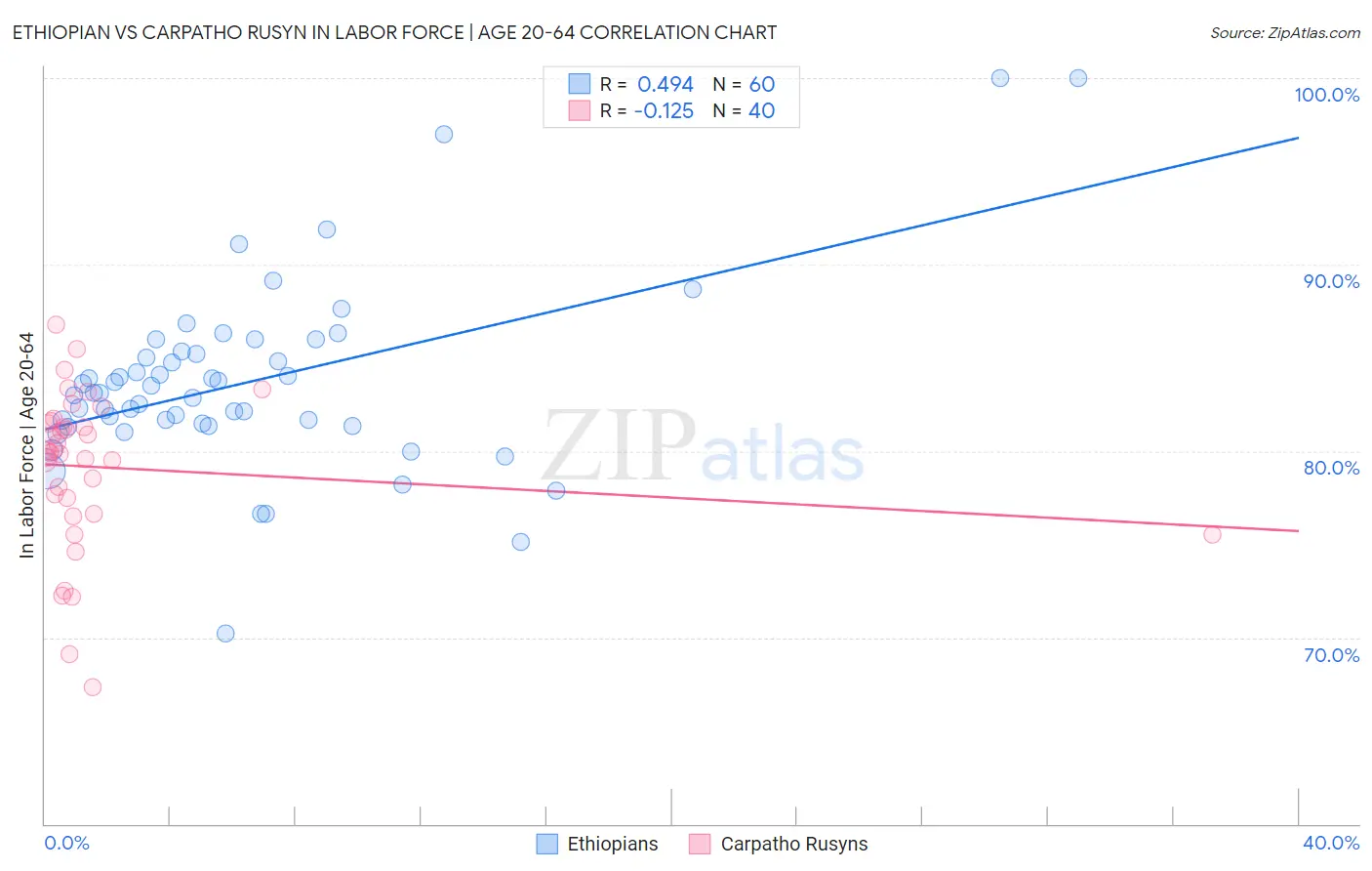 Ethiopian vs Carpatho Rusyn In Labor Force | Age 20-64
