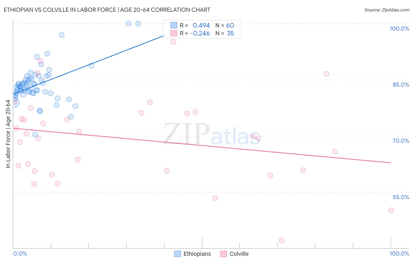 Ethiopian vs Colville In Labor Force | Age 20-64