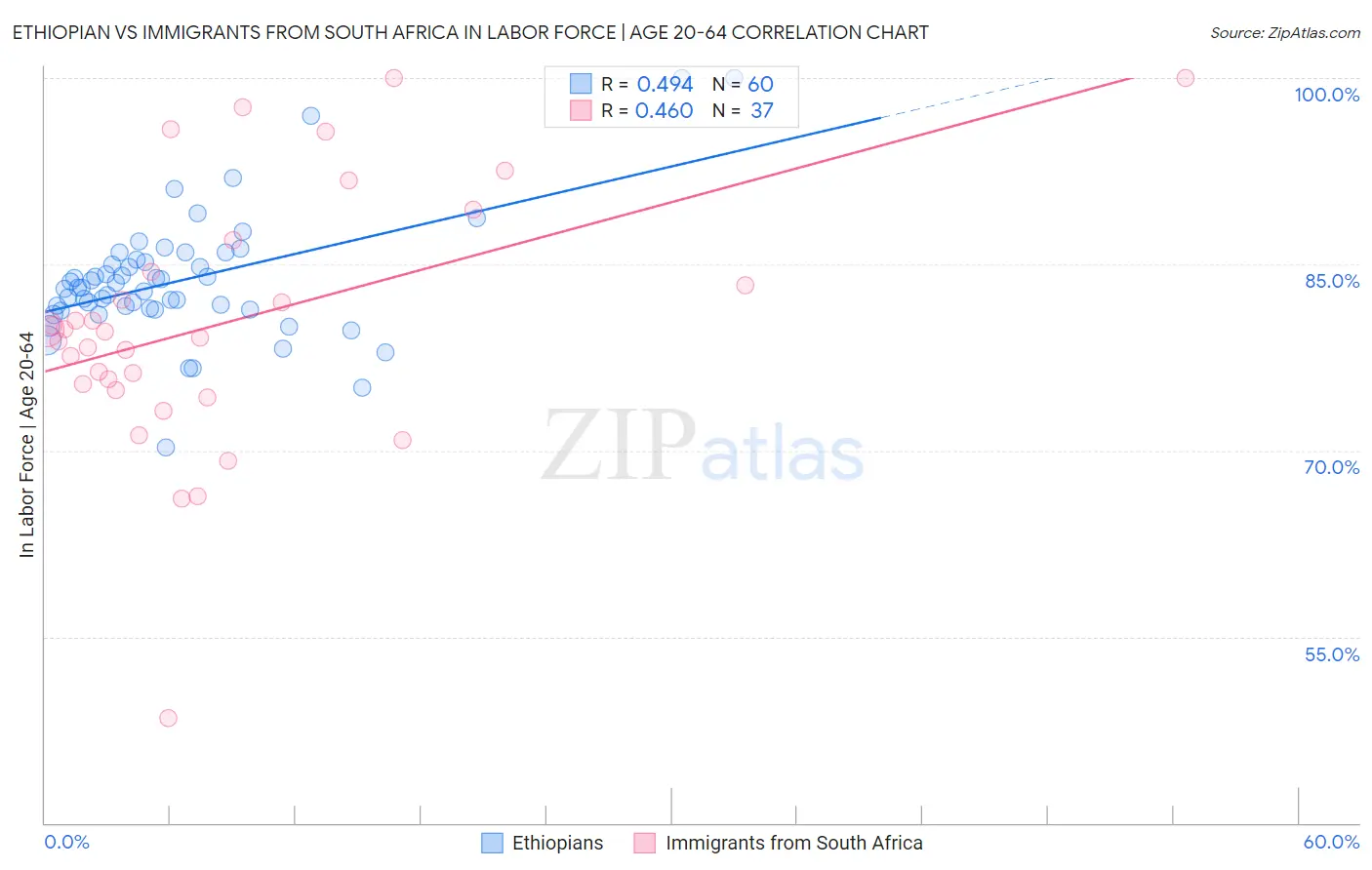 Ethiopian vs Immigrants from South Africa In Labor Force | Age 20-64