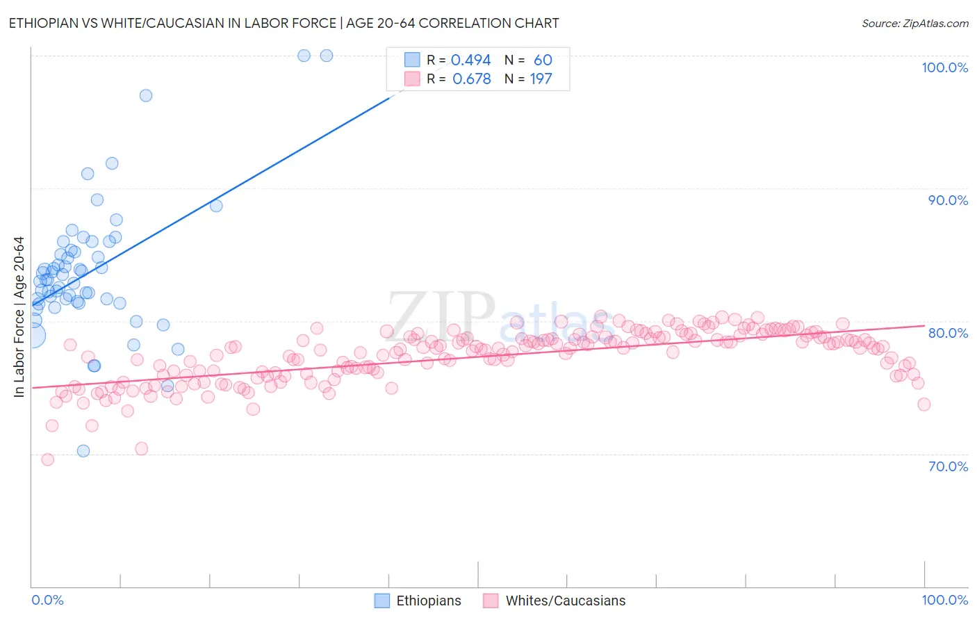 Ethiopian vs White/Caucasian In Labor Force | Age 20-64