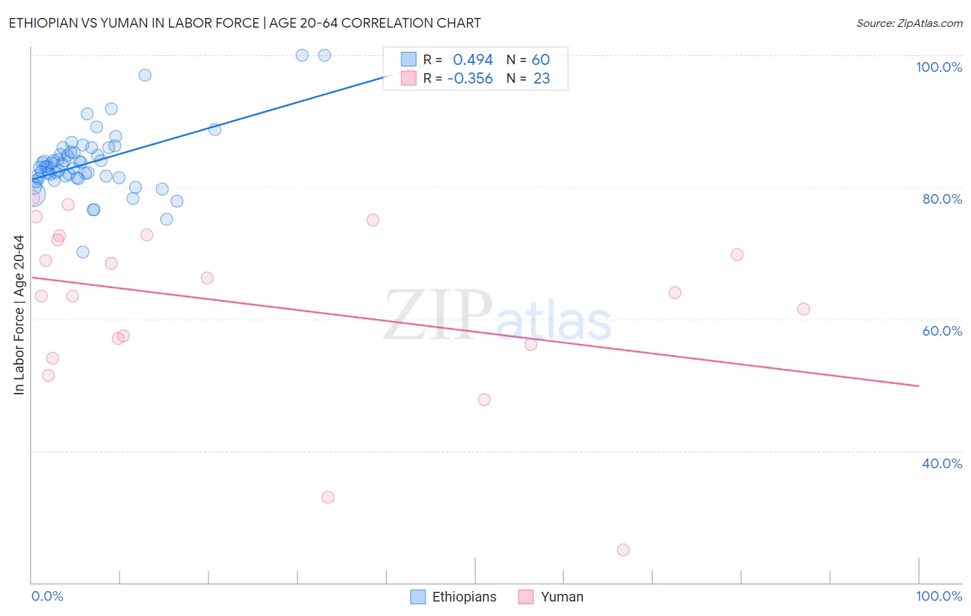 Ethiopian vs Yuman In Labor Force | Age 20-64