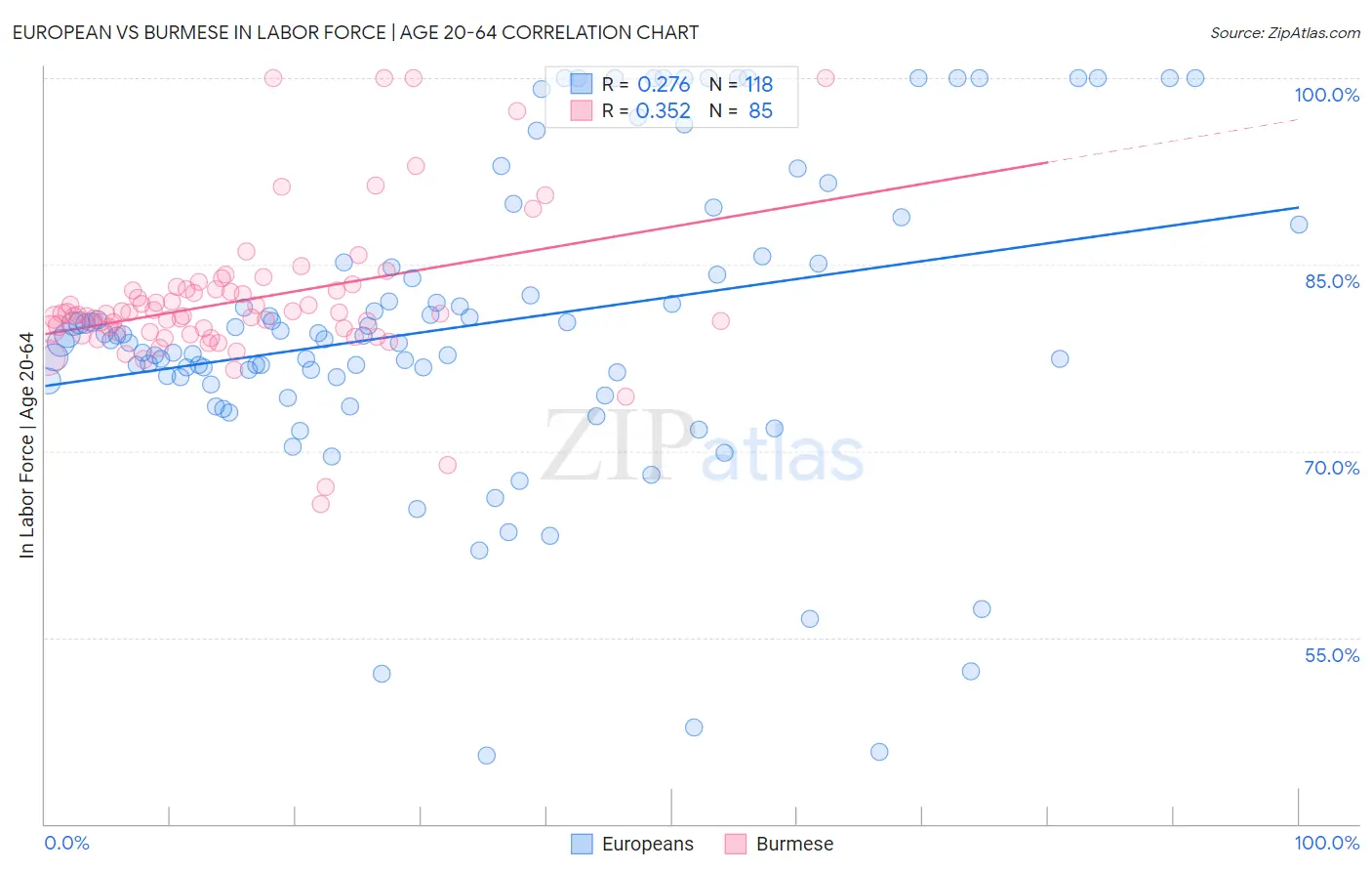 European vs Burmese In Labor Force | Age 20-64