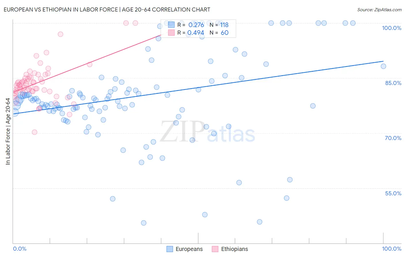 European vs Ethiopian In Labor Force | Age 20-64