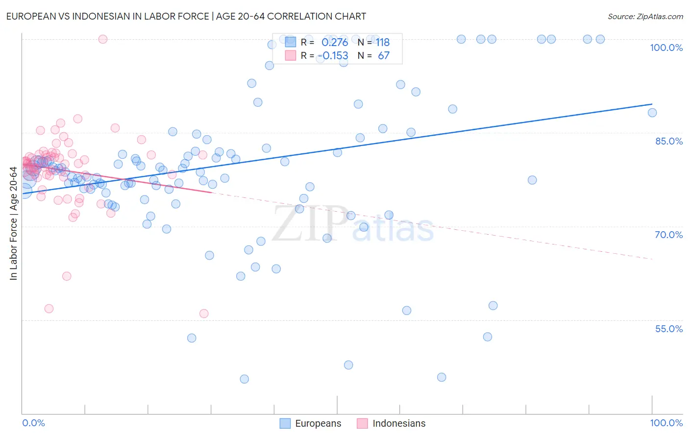 European vs Indonesian In Labor Force | Age 20-64