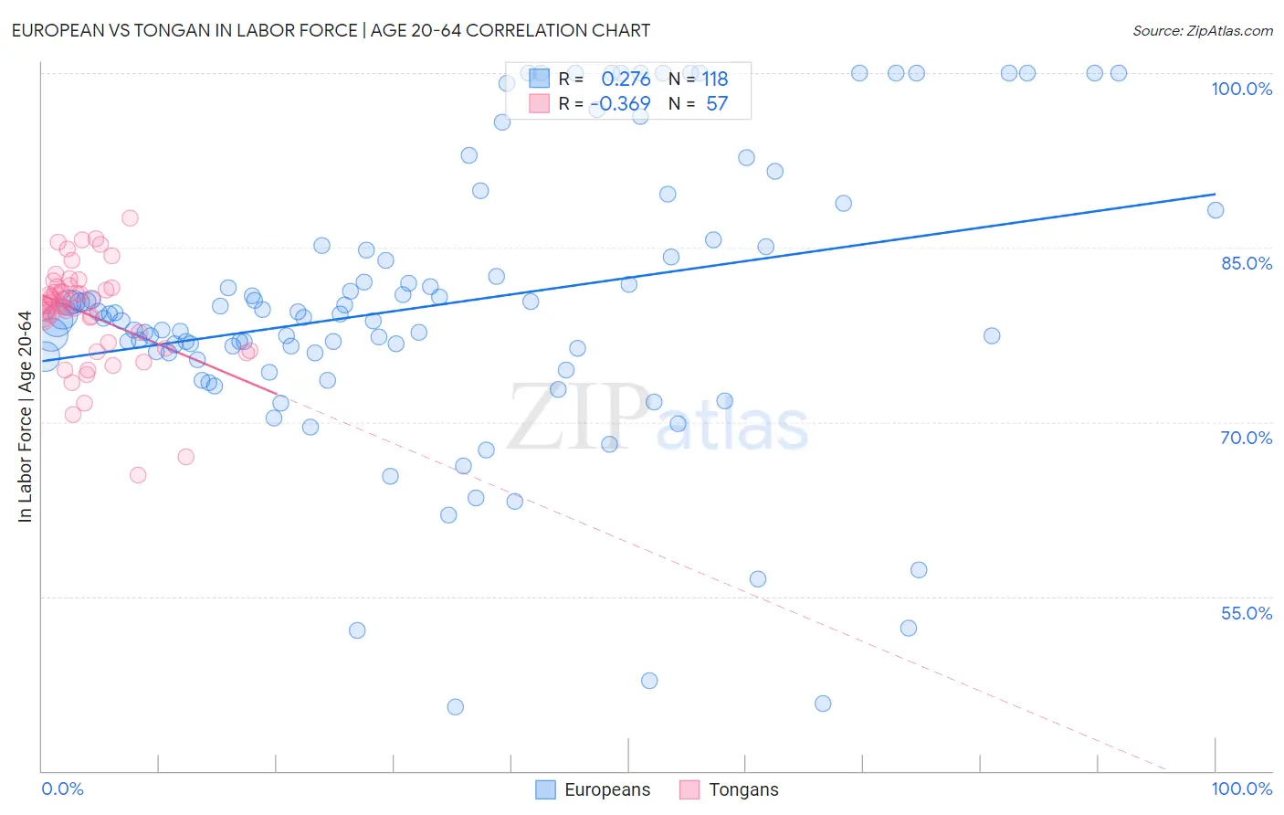 European vs Tongan In Labor Force | Age 20-64